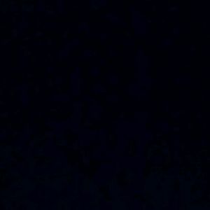 Meet your Posher, Dora